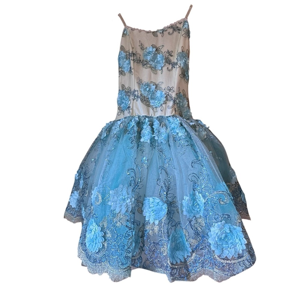 Curtain Call Costumes Dress Blue Flowers Beading Full Skirt 12A Ballet Halloween